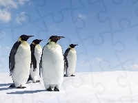 Niebo, Pingwiny, Śnieg