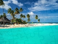 Ocean, Plaża, Chmury, Palmy, Malediwy, Morze, Domki