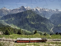 Pociąg, Szwajcaria, Góry, Elektryczny
