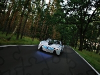 Podświetlane, BMW Vision, Nerki