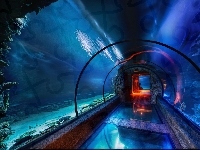 Tunel, Podwodny, Oceanarium