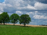 Pole, Drzewa, Wiosna, Chmury