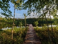 Mostek, Polska, Las, Mazury, Jezioro Bełdany, Drzewa