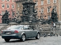 Pomnik, Audi A6, gołębie