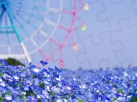 Porcelanka błękitna, Niebieskie, Kwiaty, Karuzela