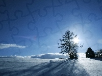 Promienie, Drzewa, Śnieg, Słońca