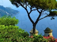 Ravello, Wybrzeże, Morze, Drzewo, Włochy