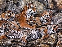 Tygrysów, Rodzina, Kamienie