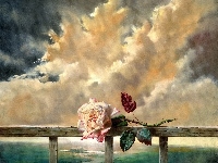 Róża, Chmury