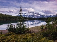 Park Narodowy Banff, Szczyt Mount Rundle, Świerki, Góry, Kanada, Jezioro Vermilion, Lasy