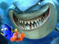 rybki, rekin, Gdzie Jest Nemo