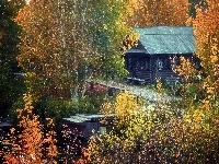 Rzeczka, Jesień, Dom, Drzewa