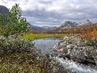 Rezerwat przyrody Vermedalen, Rzeczka, Góry, Kamienie, Norwegia, Wzgórza, Drzewo