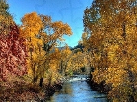 Drzewa, Rzeka, Jesień