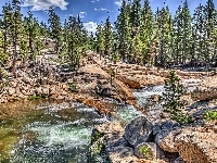 Rzeka Tuolumne River, Drzewa, Skały, Stan Kalifornia, Park Narodowy Yosemite, Stany Zjednoczone, Kamienie