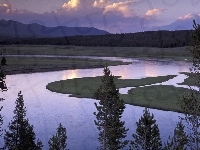 Rzeka, Lasy, Stany Zjednoczone, Park Narodowy Yellowstone, Góry