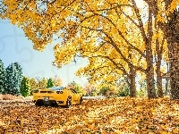 Żółty, Drzewa, Ferrari F 430, Jesień, Liście, Samochód