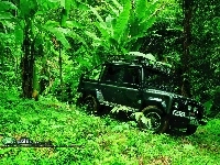 samochód, Film Tomb Raider, dżungla