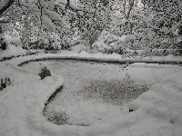 Śnieg, Staw, Serce, Drzewa