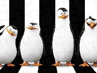 The Penguins of Madagascar, Pingwiny z Madagaskaru, Postacie