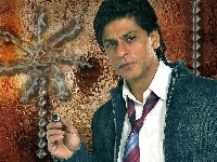 Shahrukh Khan, Aktor, Indie