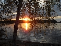 Słońca, Jezioro, Zachód, Drzewo