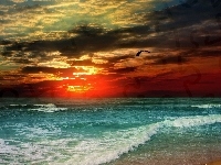 Słońca, Morze, Zachód, Ptak