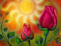 Róże, Słońce, Pąki