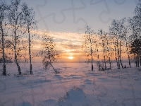 Zima, Zachód słońca, Śnieg, Brzozy, Drzewa