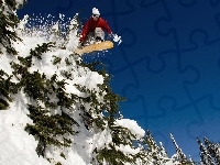 Śnieg, Snowboardzista, Choinki