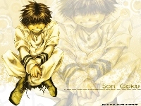 son goku, Saiyuki, gold