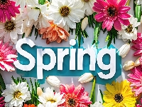 Napis, Kwiaty, Wiosna, Spring