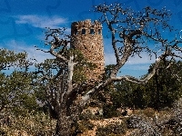Stan Arizona, Niebo, Zarośla, Wieża Desert View Watchtower, Stany Zjednoczone, Park Narodowy Wielkiego Kanionu, Drzewa