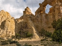 Stan Utah, Łuk skalny Grosvenor Arch, Rośliny, Hrabstwo Kane, Stany Zjednoczone, Pomnik Narodowy Grand Staircase-Escalante National Monument, Piaskowiec
