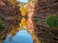 Stan Arizona, Odbicie, Rzeka, Sedona, Skały, Stany Zjednoczone, Wąwóz Oak Creek Canyon, Rośliny