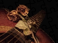 Róże, Suche, Gitara