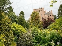 Szkocja, Zamek, Crathes, Ogród