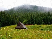 Tatry, Krajobraz, Szałas, Przyroda, Góry, Polana