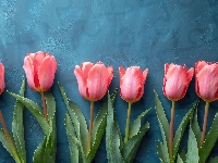 Niebieskie, Kwiaty, Tulipany, Tło