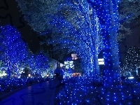 Japonia, Tokio, Święta