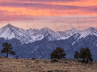 Drzewa, Góry, Zachód słońca, Sangre de Cristo Mountains, Trawa, Kolorado, Stany Zjednoczone, Łąka, Westcliffe