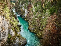 Triglavski Park Narodowy, Wąwóz, Rzeka Socza, Skały, Słowenia, Drzewa