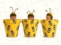 Pszczółki, Trzy, Doniczki