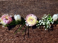 Tulipany, Deski, Kwiaty, Jaskier, Gipsówka