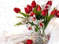 Tulipany, Bukiet, Kwiatów, Wazon