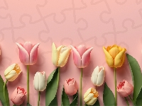 Tło, Kolorowe, Kwiaty, Tulipany, 2D, Różowe