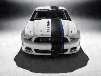 Twin-Turbo, Ford Mustang, Cobra Jet, Concept
