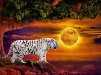 Tygrys, Słońca, Art, Zachód, Biały, Drzewo