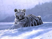 Tygrys, Zima, Biały, Obraz