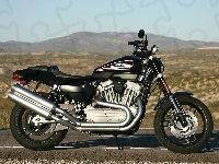 Układ, Harley Davidson XR1200, Wydechowy